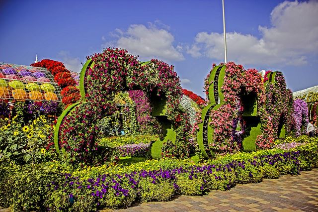 miracle garden