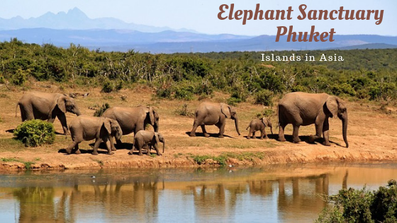 elephant sanctuary phuket