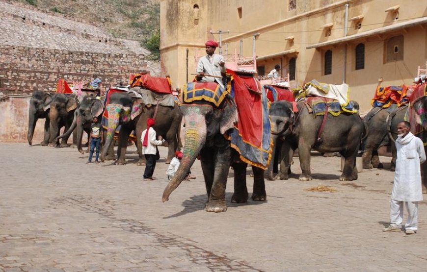 Jaipur – Bikaner – Jaisalmer – Jodhpur – Mount Abu – Udaipur – 9 Days