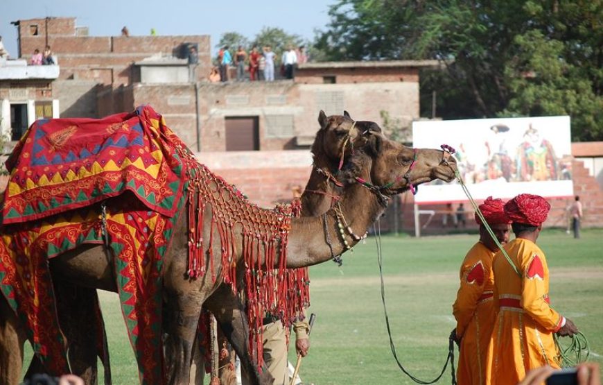 Jaipur – Ajmer/Pushkar – Ranakpur – Jodhpur – 7 Days