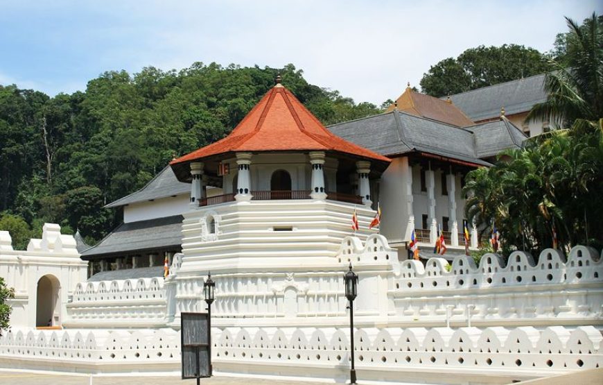 Heritage of Sri Lanka – 8 Days