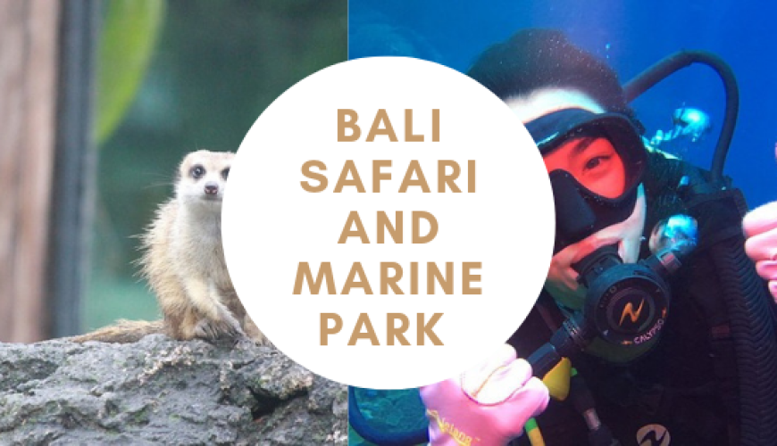 bali safari and marine park
