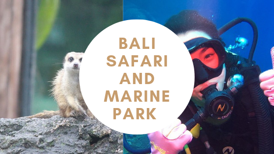 bali safari and marine park