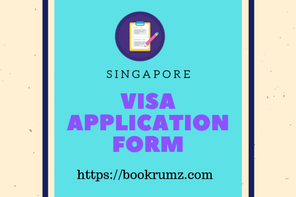 how to fill singapore visa application