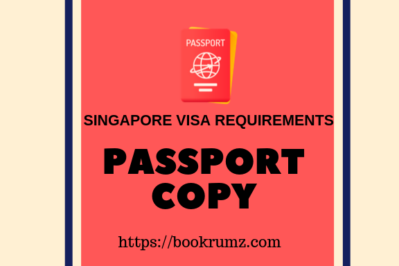 singapore visa application form
