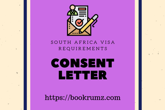 south africa visa process