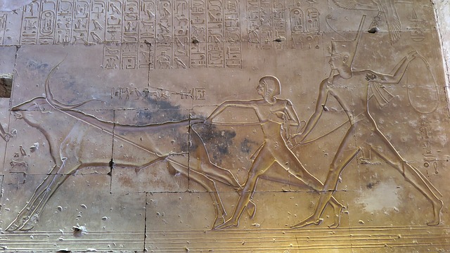 abydos activity in egypt