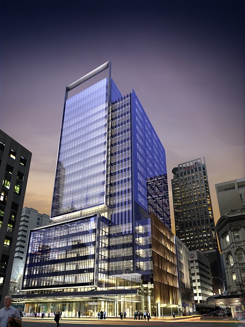 auckland new zealand activity