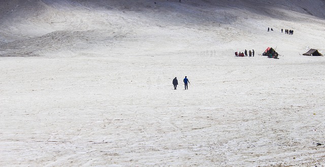 kupwara jammu & kashmir activity