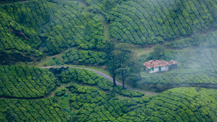 munnar kerala tourist places