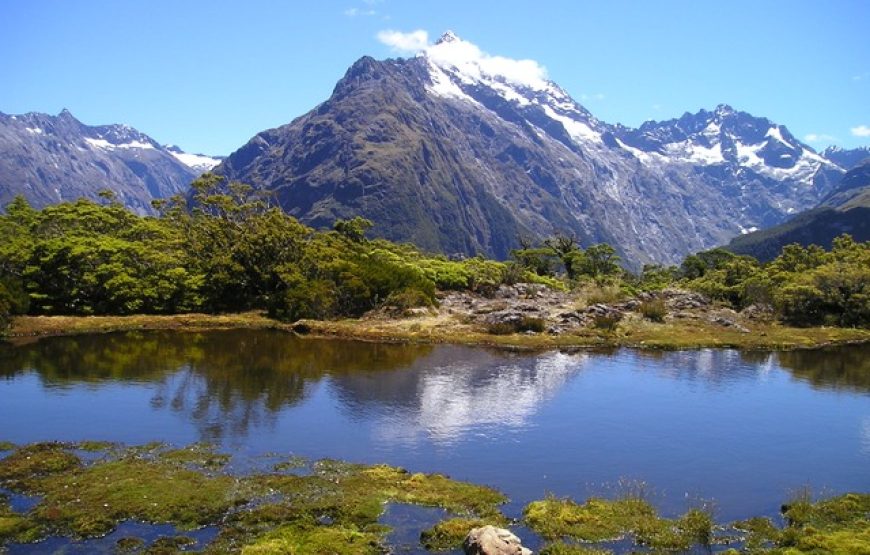 Majestic New Zealand – 11 Days