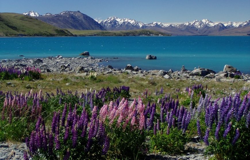 Glacier Coastal Wonder New Zealand – 8 Days