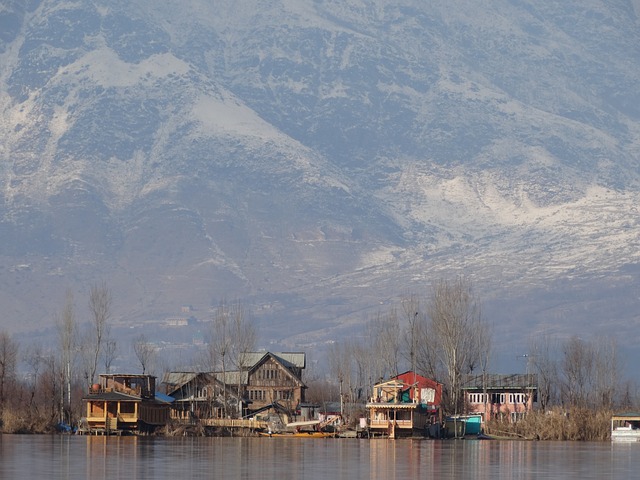srinagar jammu & kashmir activity
