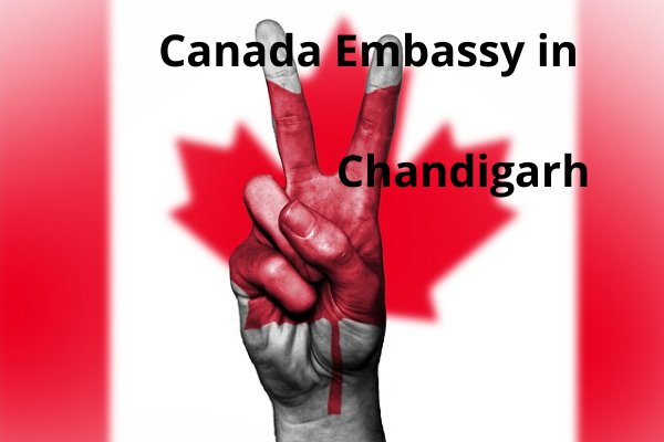 canada embassy in chandigarh